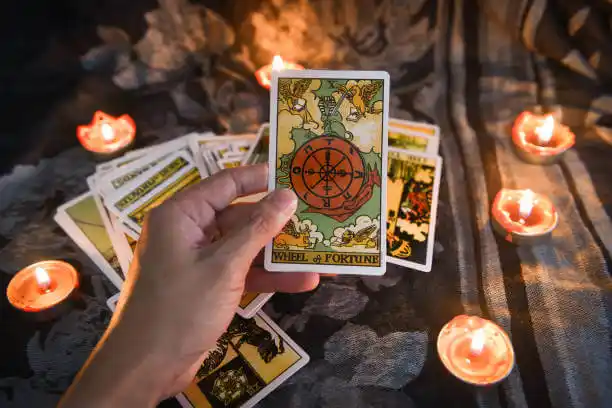 tarot cards Roundup